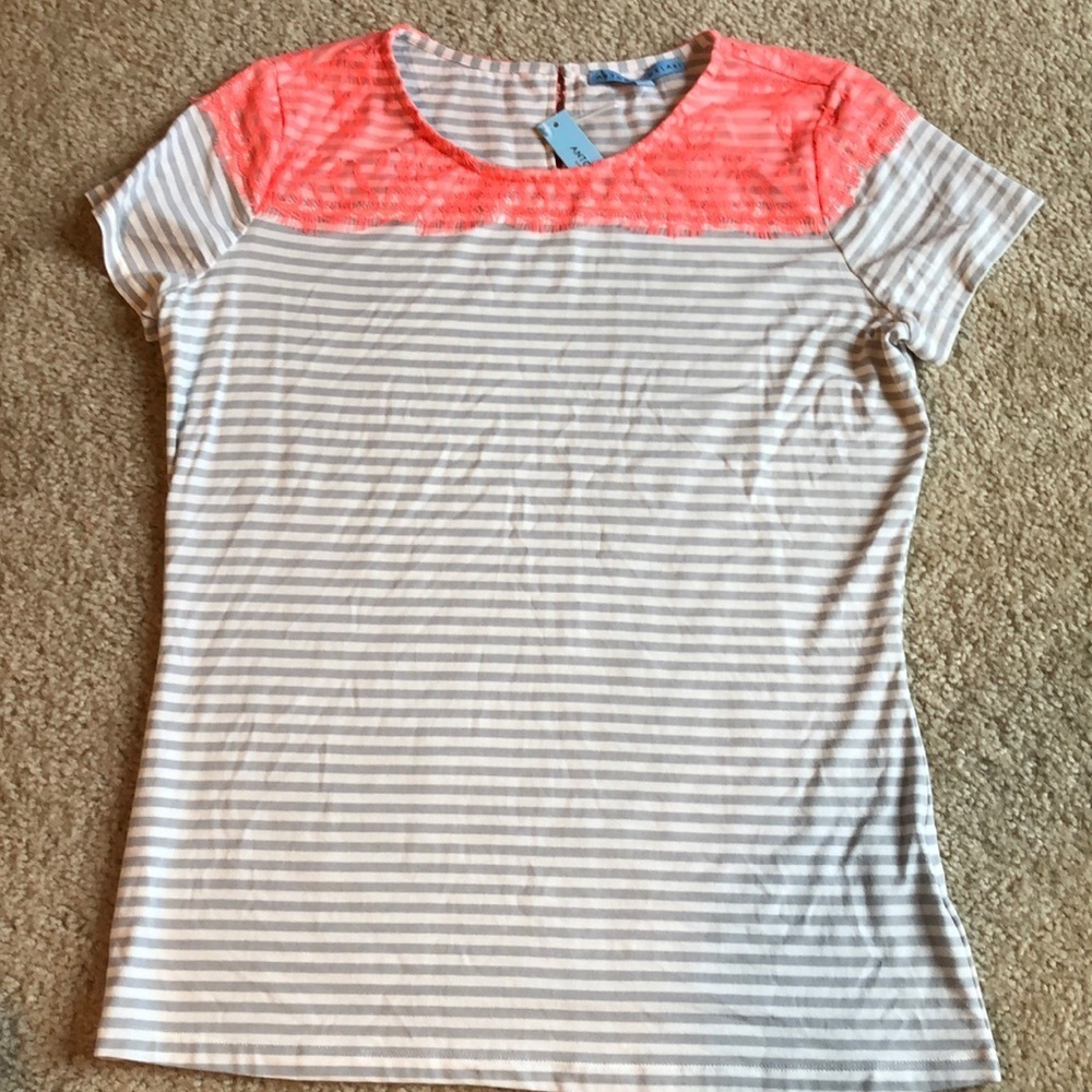 Antonio Melani lace stripe top short shirt sleeve blouse size medium white gray